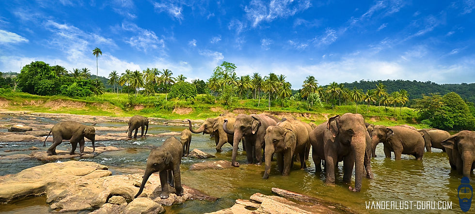 Yala National Park