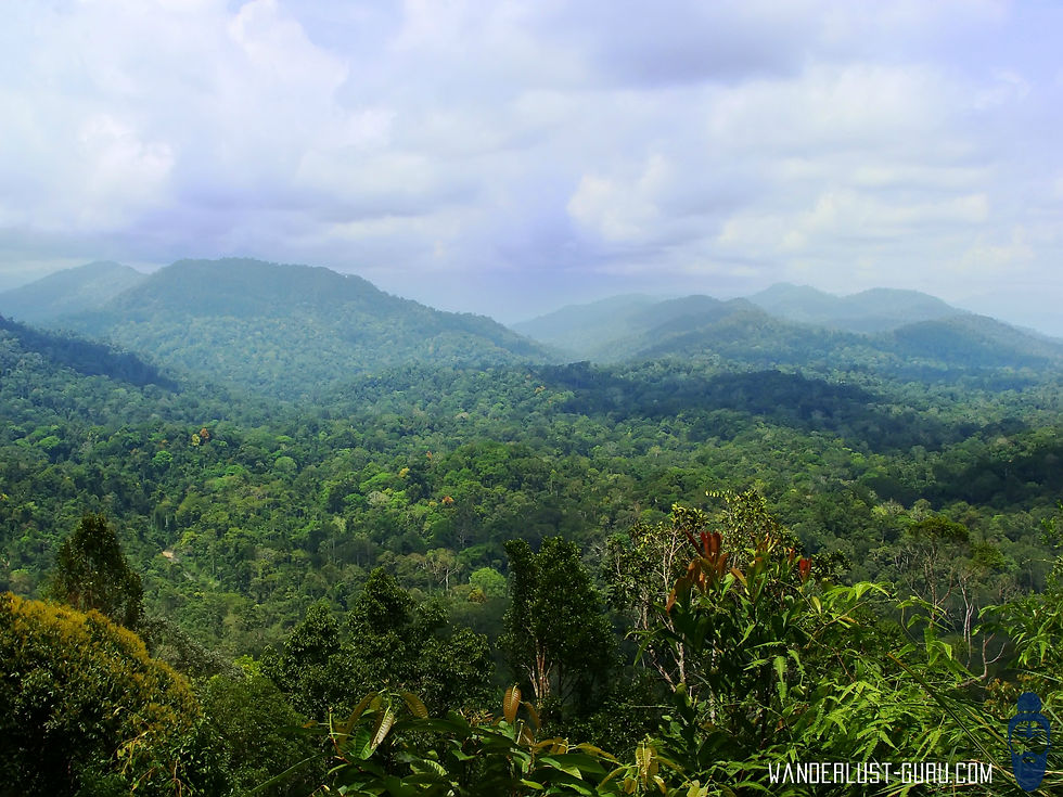 Taman Negara National Park