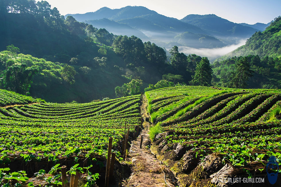 Doi Ang Khang