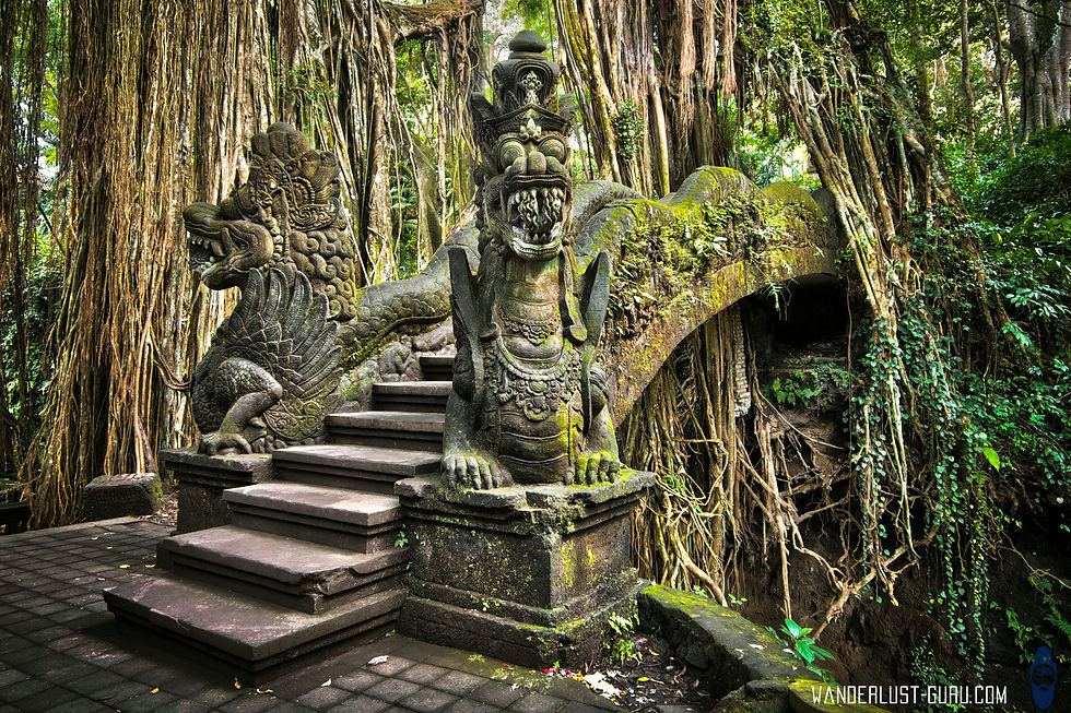 Monkey Forest