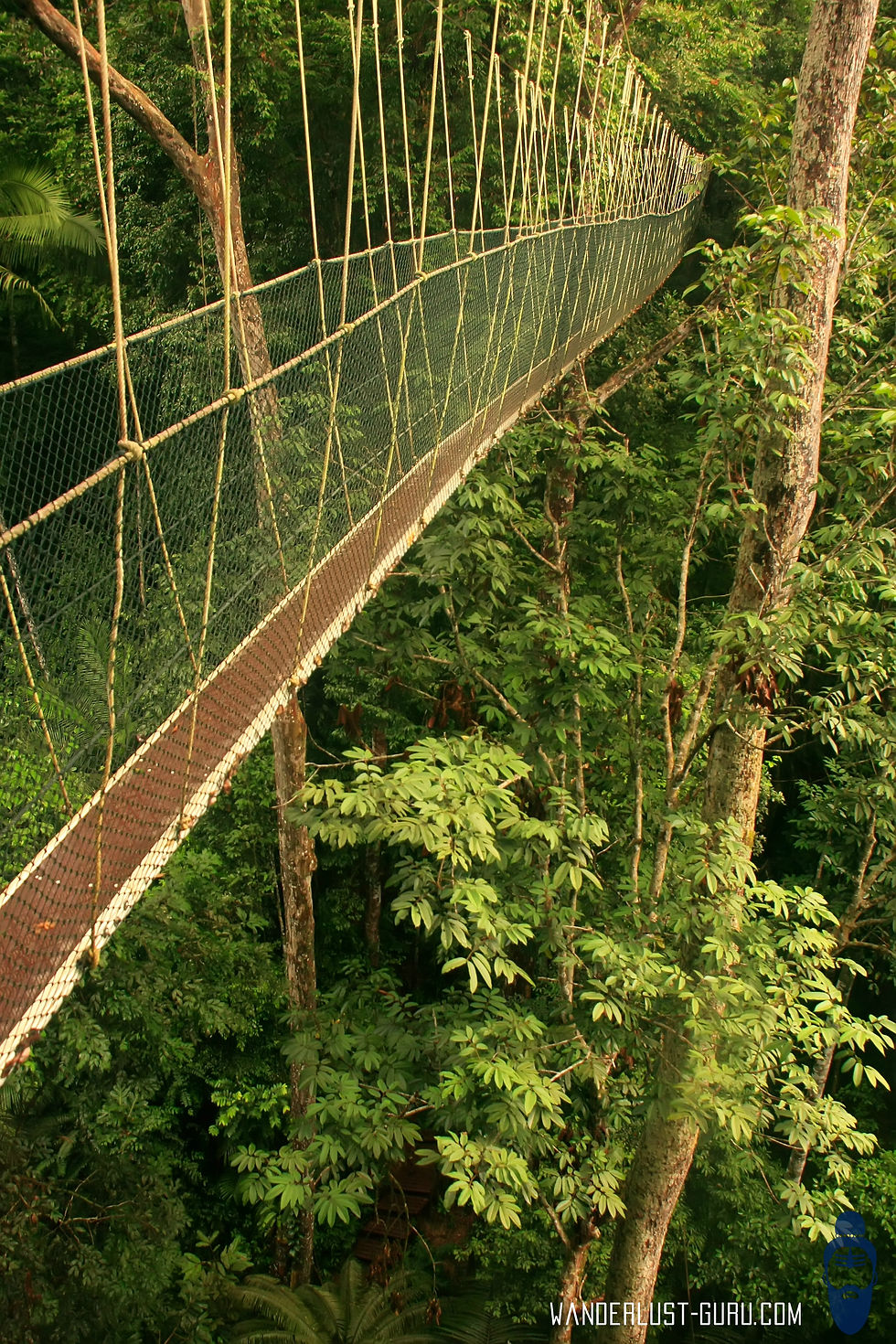 Taman Negara National Park