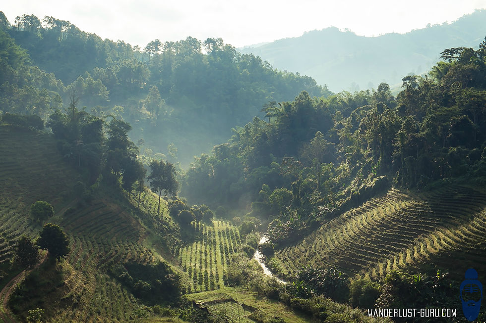Doi Mae Salong