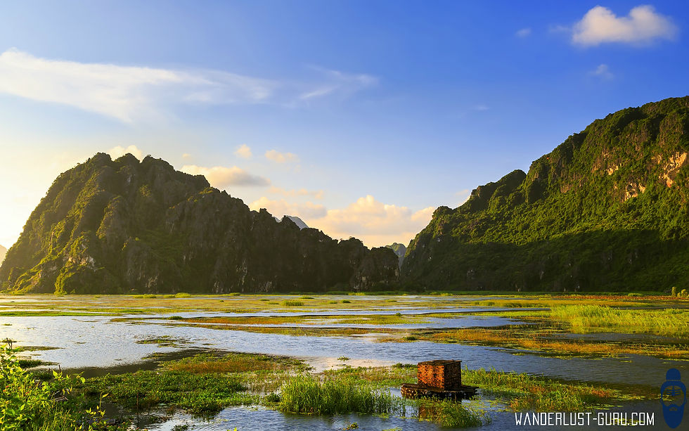 Van Long natural reserve