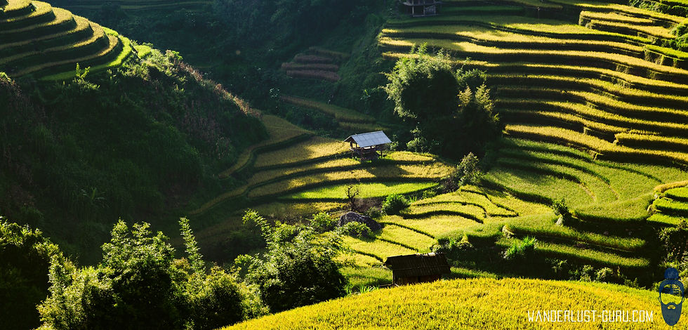 Mù Cang Chải
