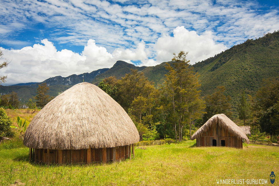 Traditional huts in Papua