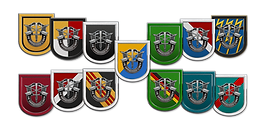 U.S. Army Special Forces Groups [2.0].pn