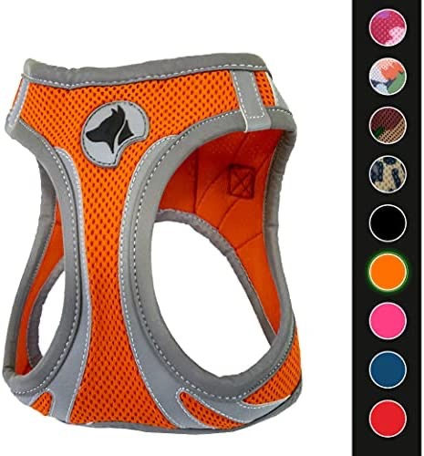 Miniatura: Pettorina Hiking Reflective (XL 53-58cm)