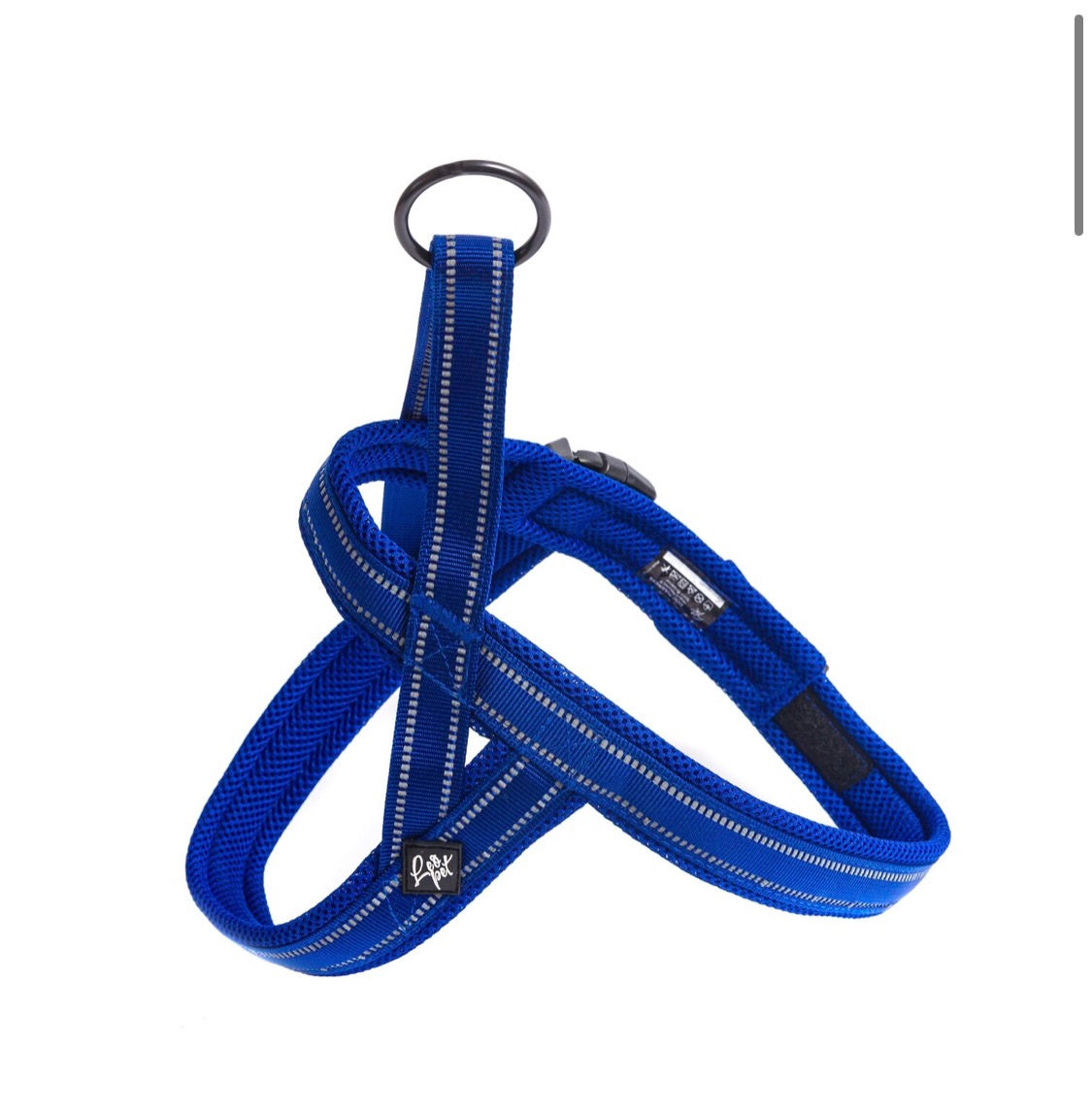 Leopet Pettorina Traspirante M 62-72CM BLU
