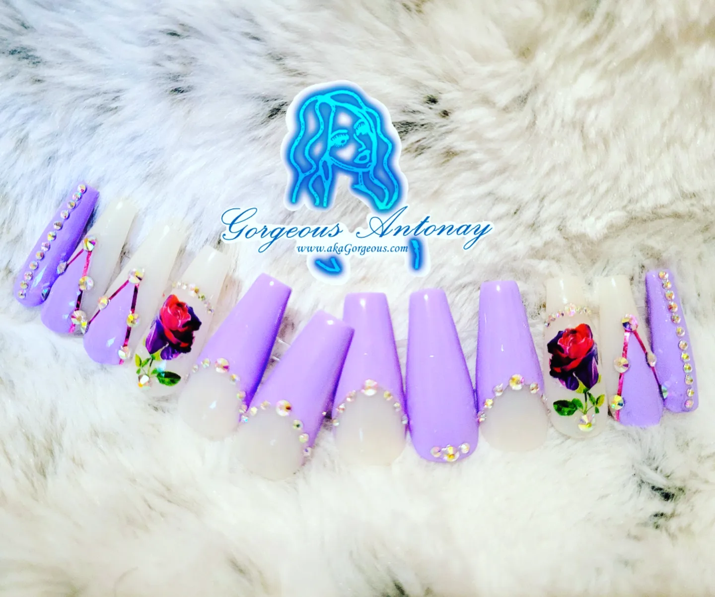 Lovely Lavender Rose