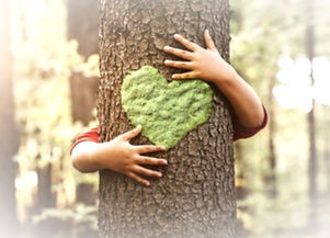 prendre soin de nous en forĂȘt_edited.jpg