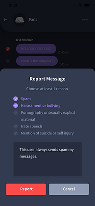 Report Messages (For Stars) - 6. Report message pop up (filled out).png