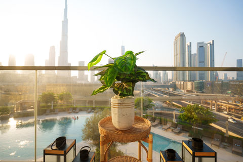 Hero shot: Vida Downtown residential interior — full-service design by Oddité Interiors