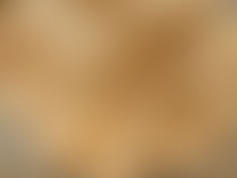 לחם מחמצת ללא מחמצת