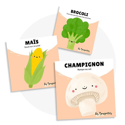 Cartes d'apprentissage - Légumes