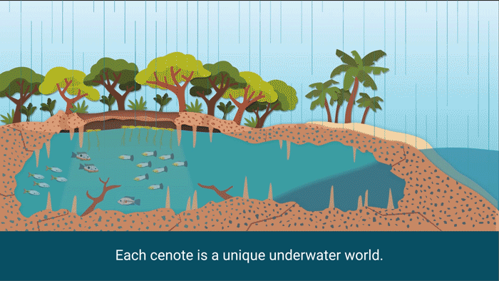 cenote_full.gif