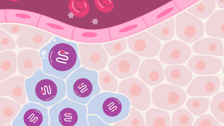 GIF of cell death and cell-free DNA