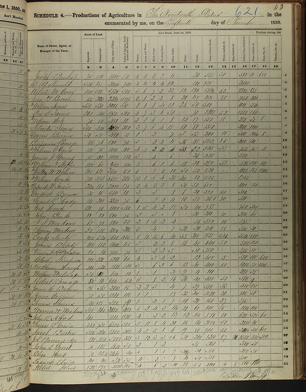 TB Erwin 1850 Census.jpg