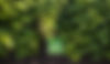 6253_edited.jpg