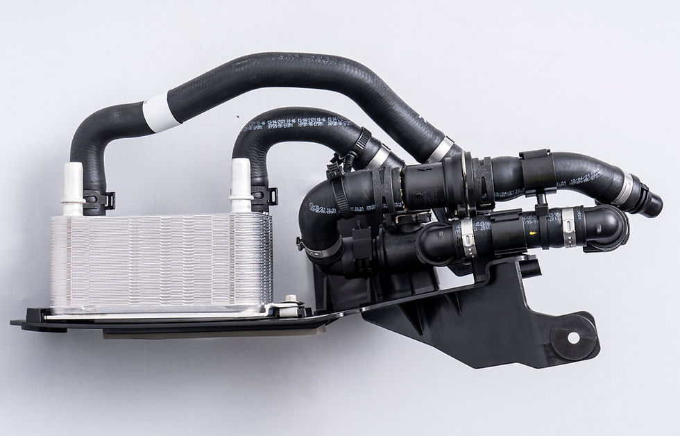 Evtec_151 (4).JPG