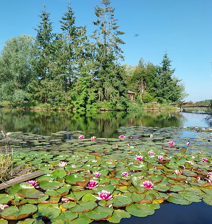 Plan d'eau