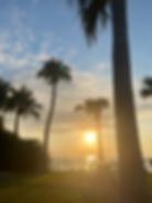 近藤健介選手の自主トレ帯同徳之島のサンセット