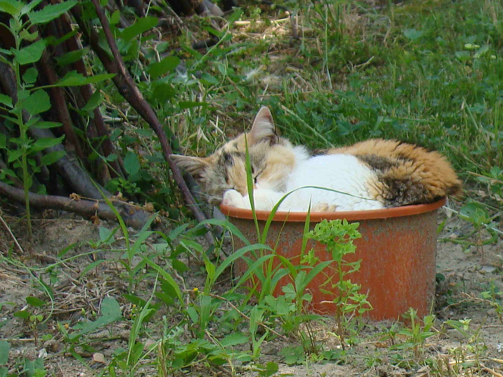Poupette a du pot
