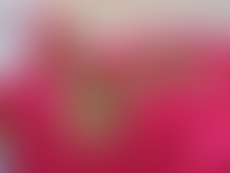 DIY Princess Aurora Costume