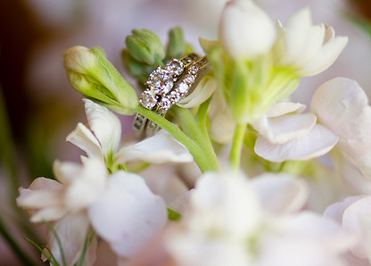 Wedding photography calgary