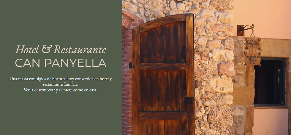 Captura de pantalla 2026-02-17 171053.png