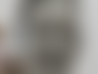 Sculpting with clay - a new medium