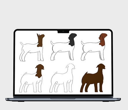 Macbook_Air_Mockup_1_Goats.png