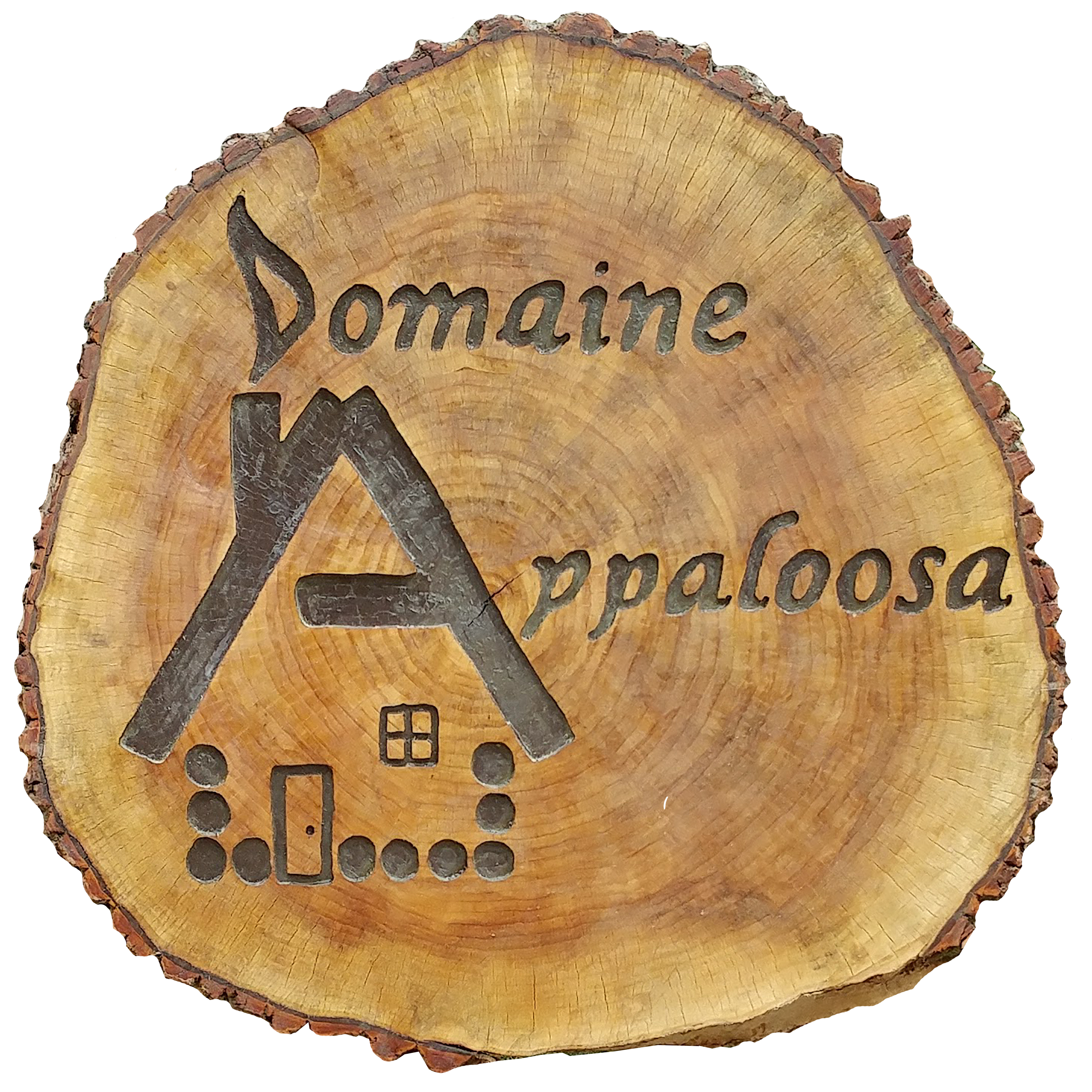 Domaine Appaloosa in Notre-Dame-de-la-Merci, Canada