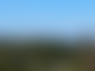 Pastoral Letter, September 28, 2023