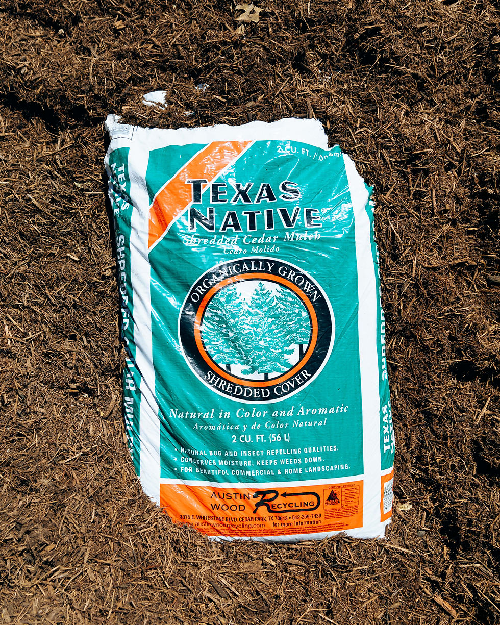 All Products texasnative