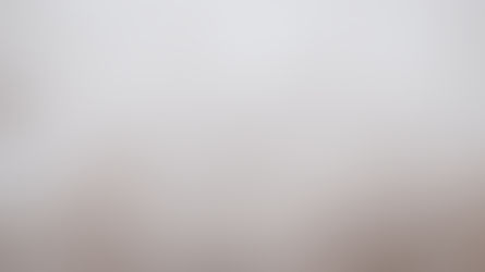 Scripture Reflection - February 11, 2024