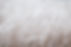 Snow-Covered Grass