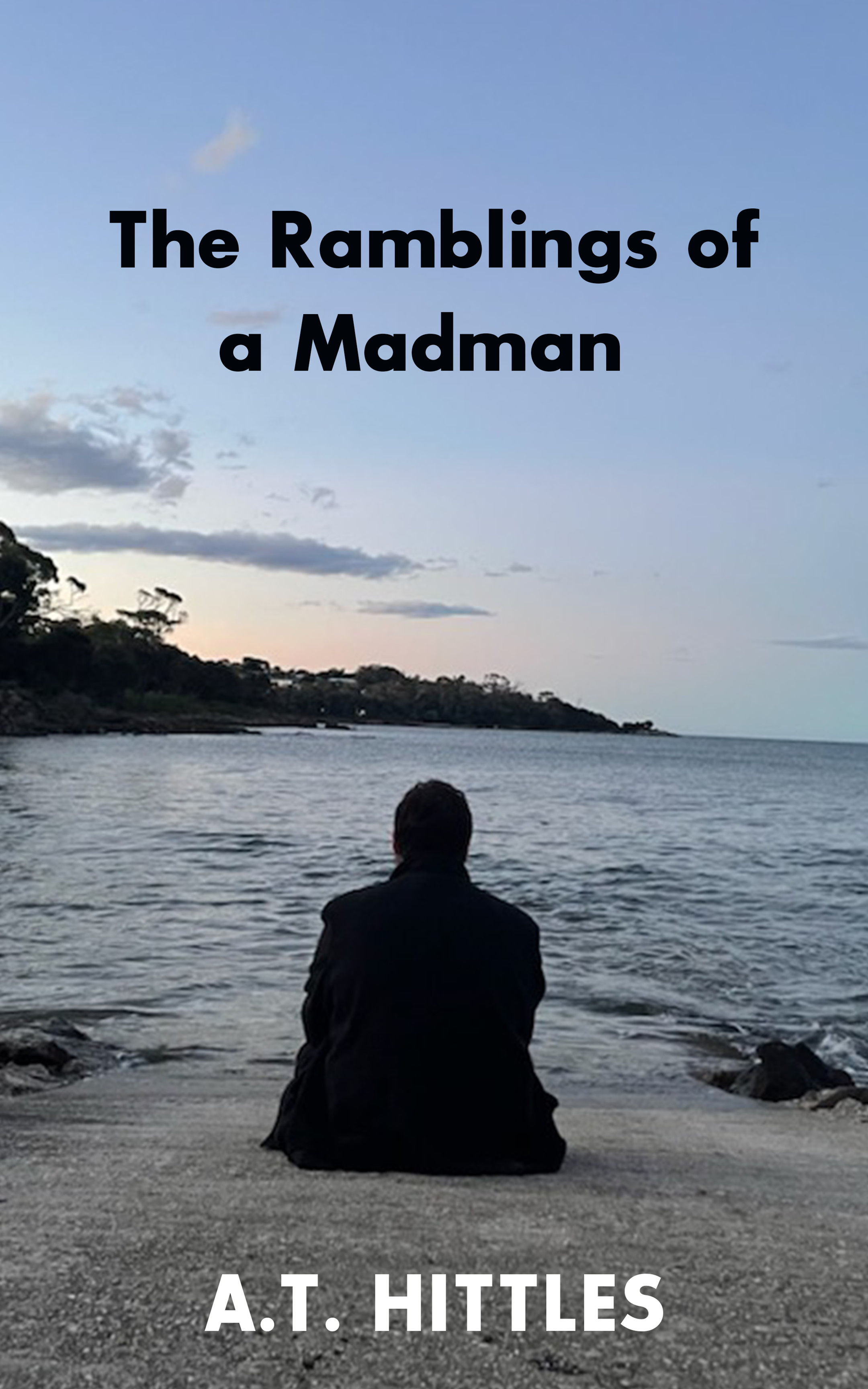 The Ramblings of a Madman