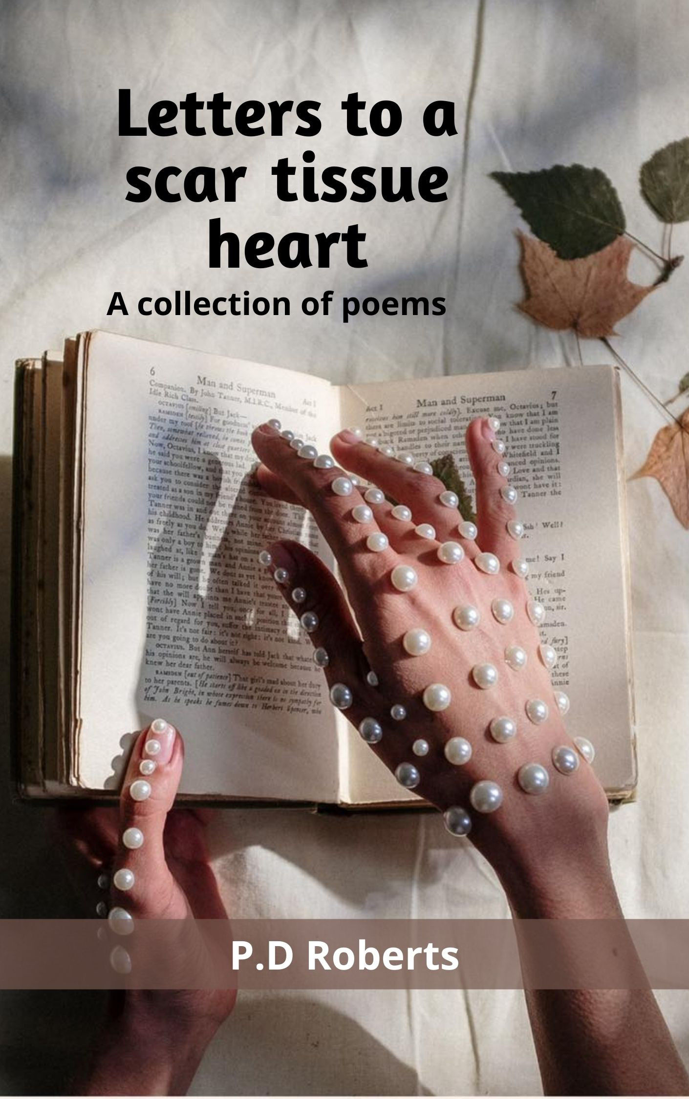Letters to a Scar Tissue Heart - A collection of poems