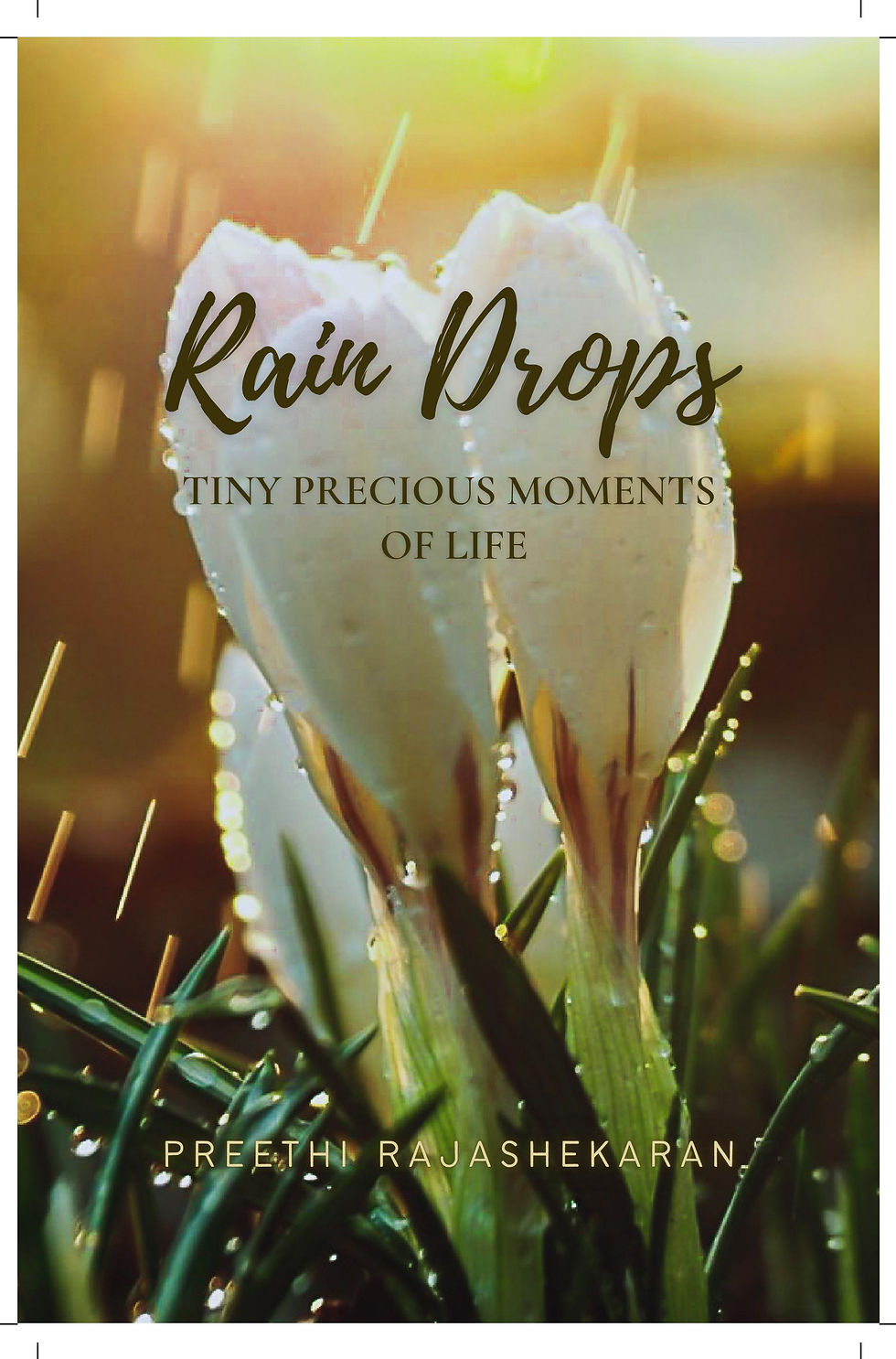Thumbnail: Rain Drops - Tiny Precious Moments of Life