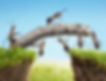 team work, ants constructing bridge.jpg