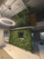 WhatsApp Image 2026-03-03 at 20.33.58 (1).jpeg