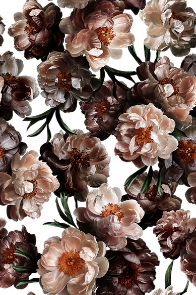 Midnight-Pattern-1-min.png