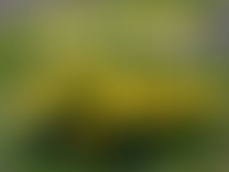 Blir det en glad påsk för IF Troja-Ljungby?