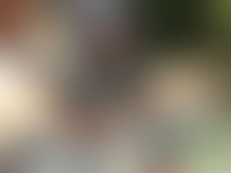 Untersteiner skickar upp en snabb märr