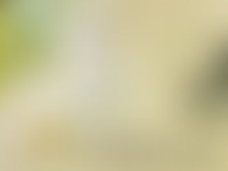 JOURNÉE MONDIALE DE LA PHILO 2021