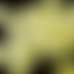 Candidiasis getting you restless?