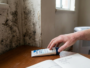 Household mould exposure contributing to eczema and sensitive skin reactions