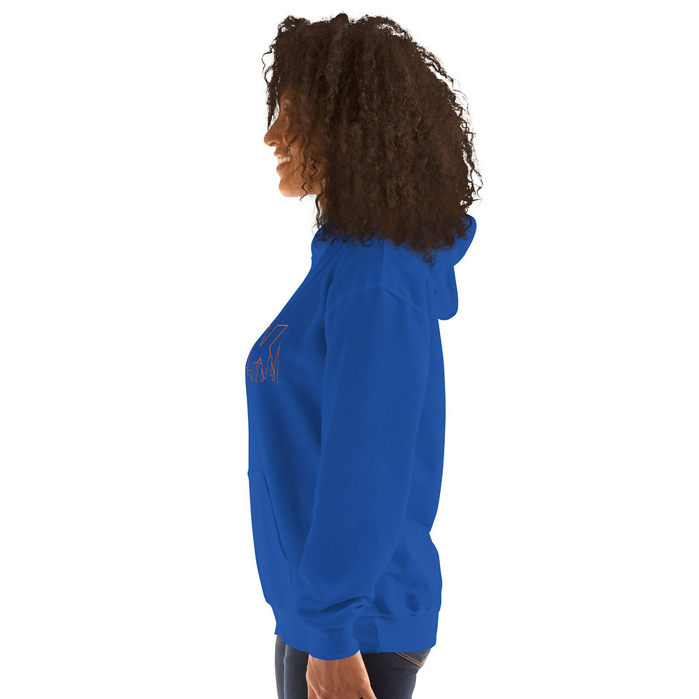 Thumbnail: NYK Skyline Unisex Hoodie by Gildan