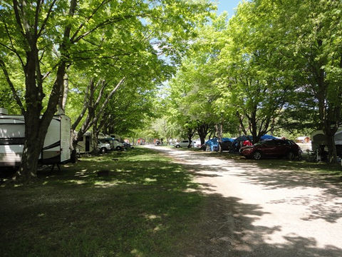 Muskegon Campground campsites
