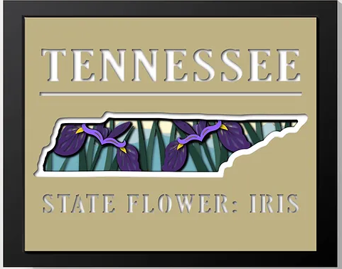 Celebrate Your Love for Tennessee with a Handcrafted Shadowbox